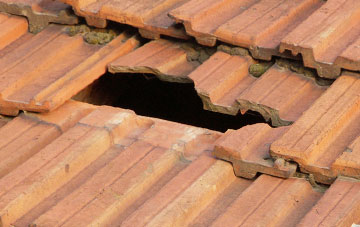 roof repair Chestall, Staffordshire